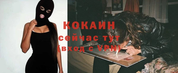дживик Абаза