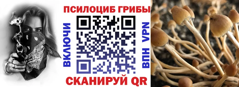 Псилоцибиновые грибы мухоморы  KRAKEN зеркало  Нижние Серги 